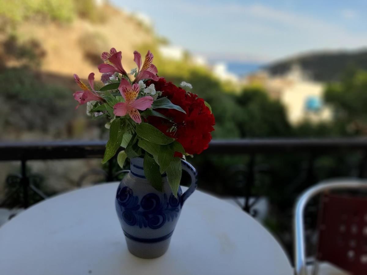 فندق Ostria أغيا غاليني المظهر الخارجي الصورة