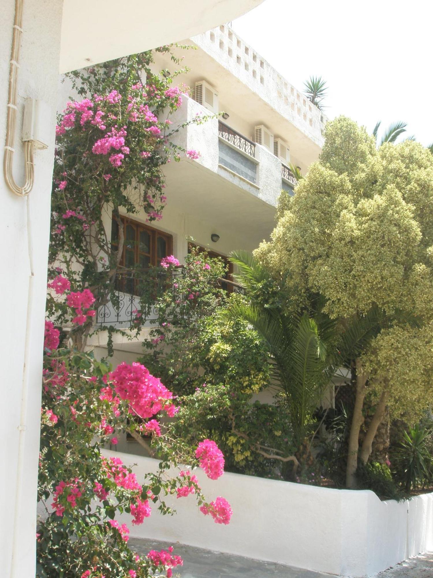 فندق Ostria أغيا غاليني المظهر الخارجي الصورة